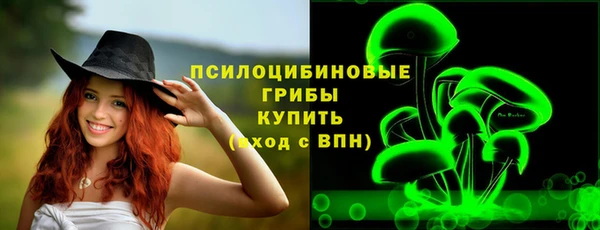 стафф Зеленокумск