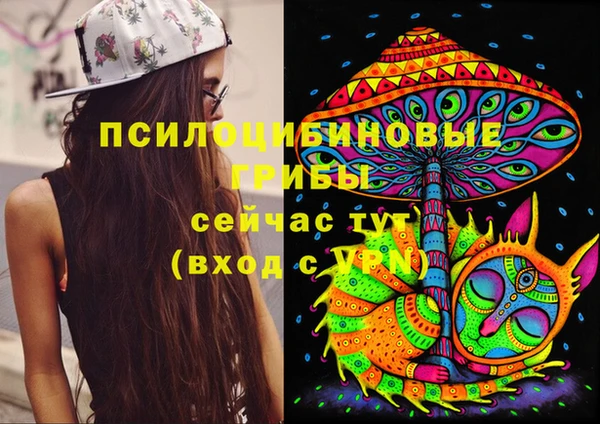 стафф Зеленокумск