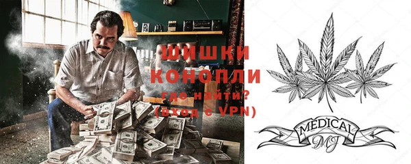 PSILOCYBIN Зерноград