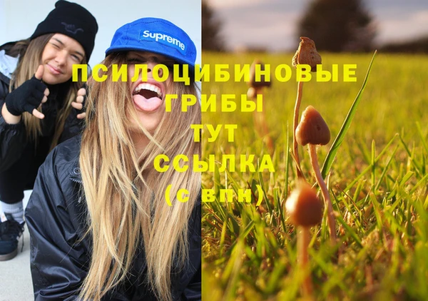 стафф Зеленокумск